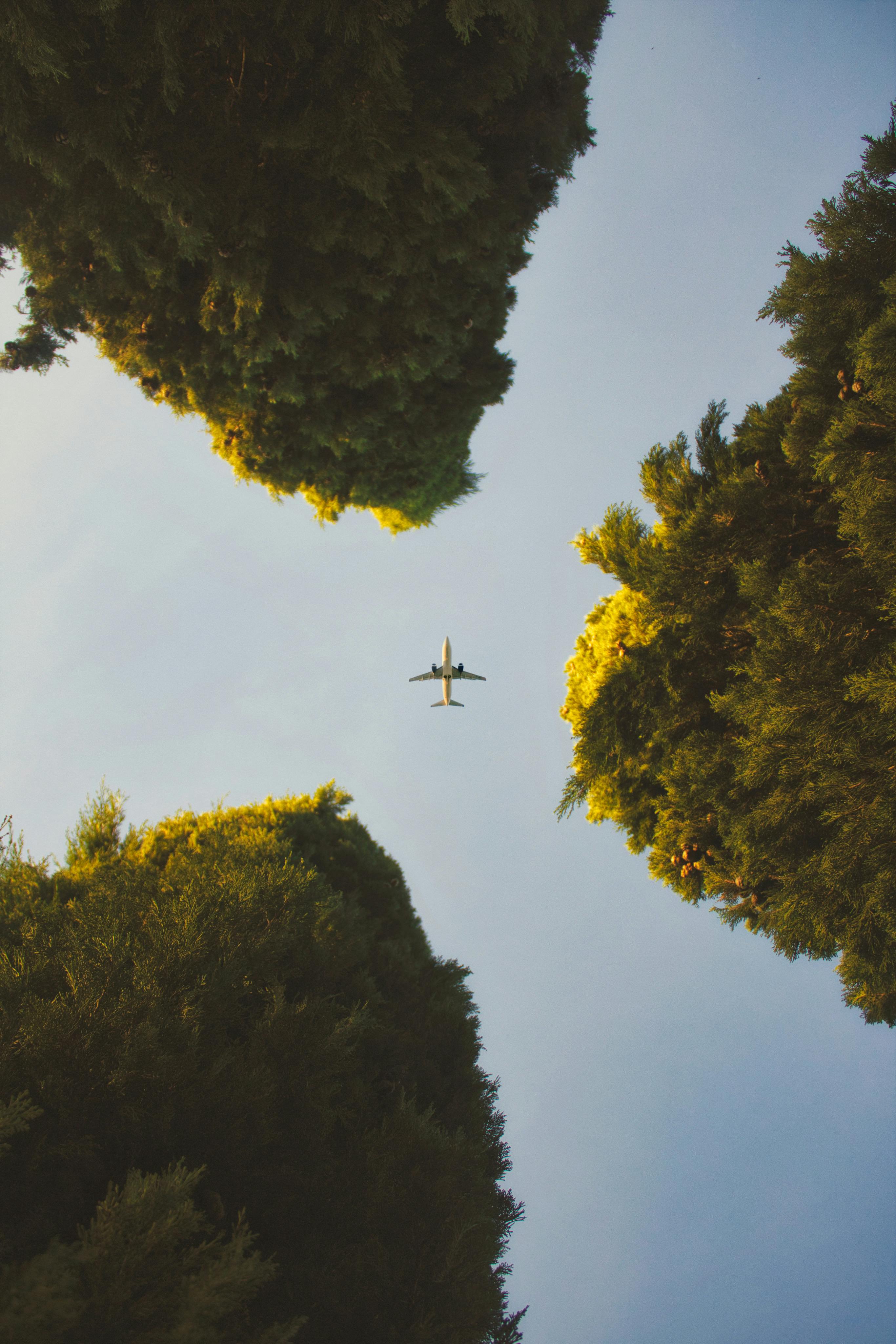 Green Technology in Aviation